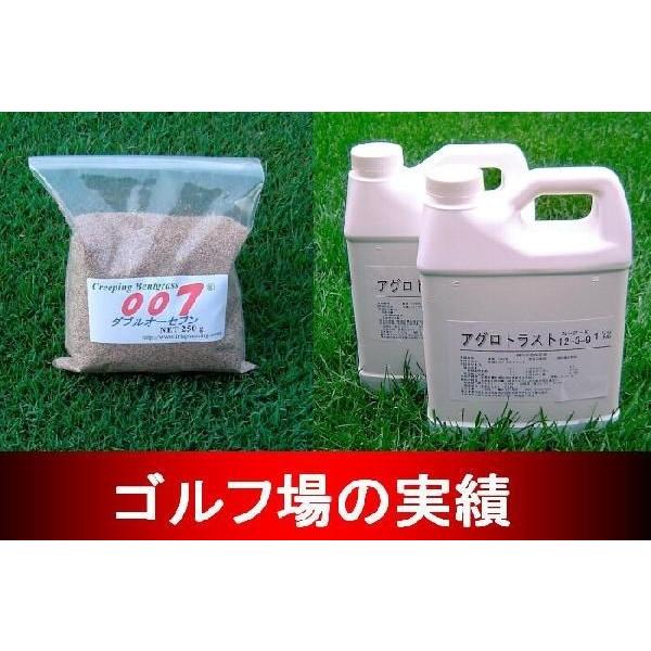 ōxgOXE_uI[Zu500gƎŐpL@t̔엿AOgXgPbg̃Zbg