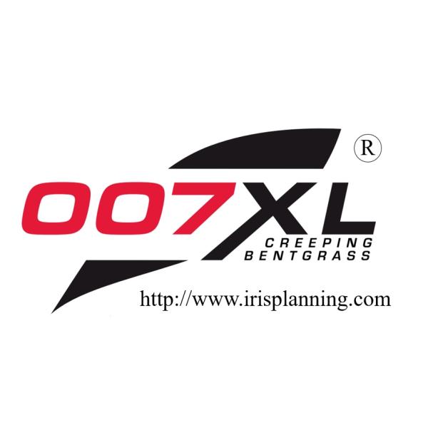 [Release date: July 26, 2025]クリーピングベントグラス「007XL」ダブルオーセブンXL 250g×2・適用面積　約24平方メートル。（たたみ約14畳）  ・250g単位でのご注文が可能です。ホワイトハウスの新し...