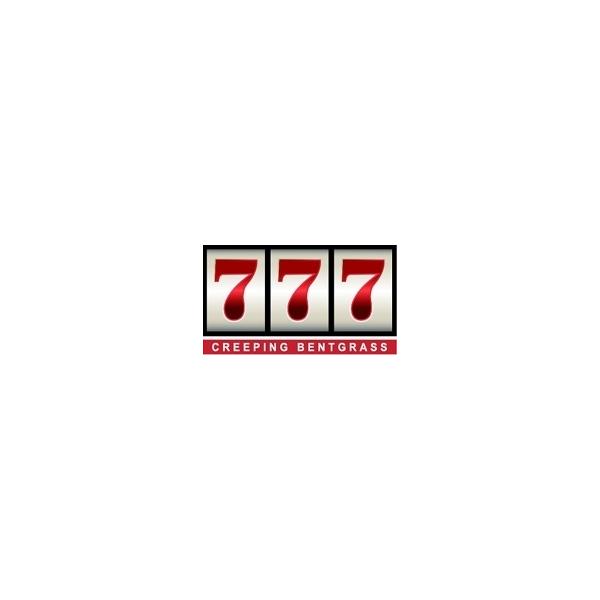 Ő̎EōxgOX 777 gvZu 250g()