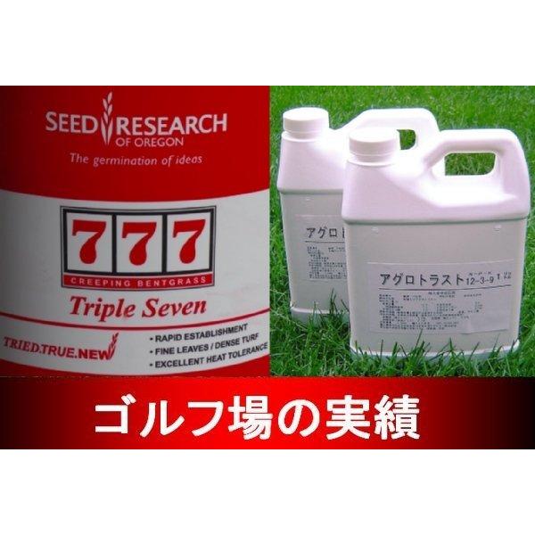 [Release date: May 1, 2012]--------------------------------------------------■クリーピングベントグラス「777」ダブルオーセブン 250g入り・適用面積　約12平...