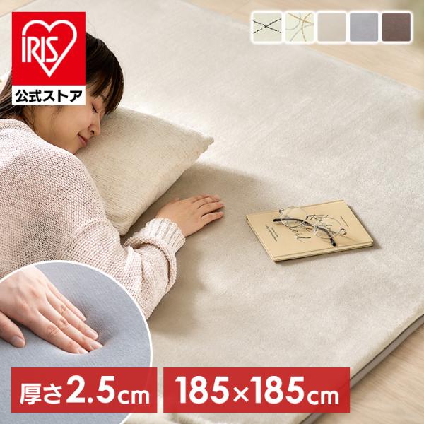 （検索用：ラグ・2畳・カーペット・ラグマット・絨毯・厚手・2.5cm・おしゃれ・シンプル・オールシーズン・通年・ホットカーペット対応・防音・滑り止め付き・こども・ペット・リビング・インテリア・二畳・ふっくらウレタンラグ・約185×185cm...