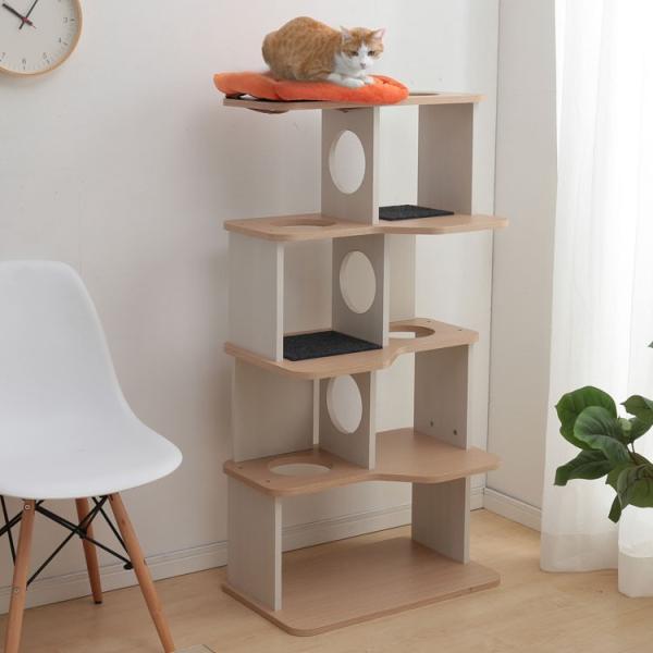 Lbg^[ X  CeA Lbgh P-ICL-L ybgxbh ybgpi ACXI[}