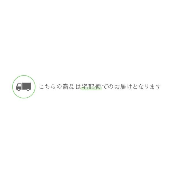 2個セット マスク 不織布 夏用 不織布マスク アイリスオーヤマ 公式 使い捨てマスク おしゃれ 全3サイズ ふつう 小さめ 学童サイズ 30枚入 中国産 Buyee Buyee Japanese Proxy Service Buy From Japan Bot Online