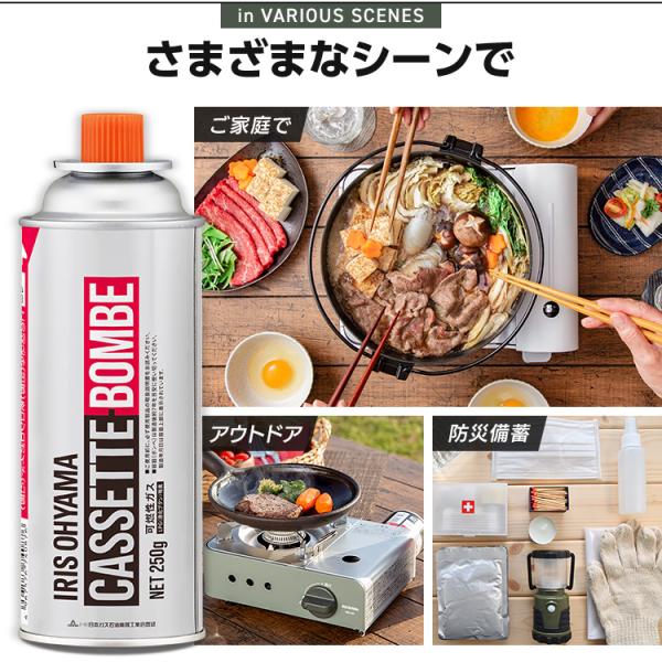 irisplaza_1922268_1_d_20241024180612