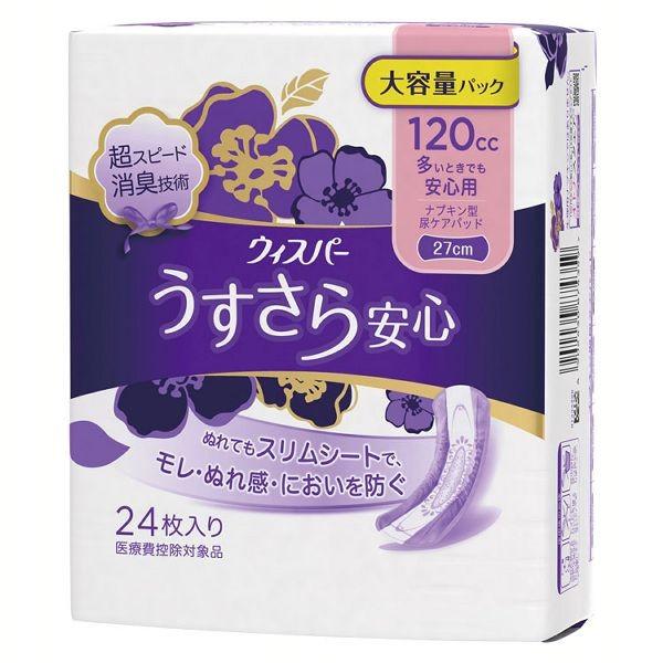 EBXp- S ƂłSp 120cc 24