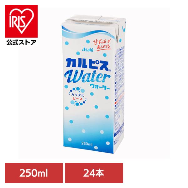 他サイト： カルピス 「カルピスウォーター R」(LL) 飲料 紙パック飲料 紙パック スリム 250ml ×24本の商品画像
