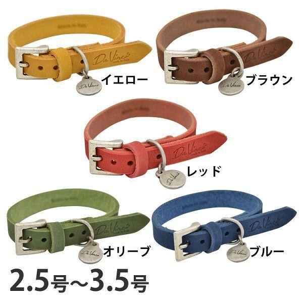 Pelle ingrassata colorata collariJ[hU[J[j2.5 3 3.5 LDV101 (TC)