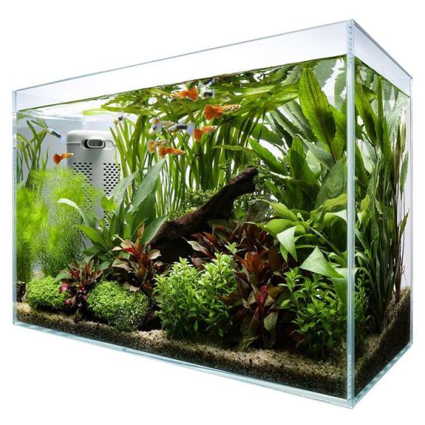 アクアリウム　水槽セット 楽天市場】【送料無料】 GEX マリーナ90cm水槽 熱帯魚