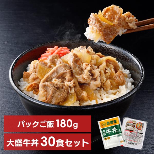 吉野家 牛丼の具 大盛 160g 30食セット パックご飯 180g×40パック 代引