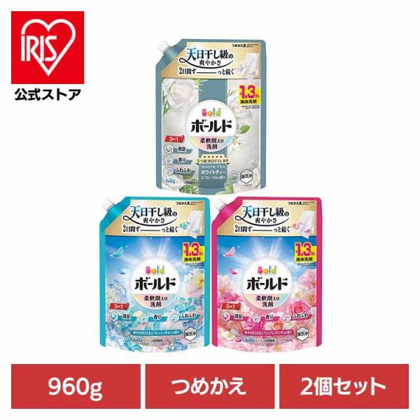 ボールド 洗濯洗剤 洗剤 ジェル 960g 2個セット 部屋干し 詰め替え