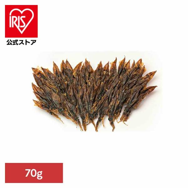 （検索用：ホタルイカ・素干し・日本海・干物・つまみ・肴・送料無料・たっぶり・手間ひま・炙り・ホタルイカ・素干し・日本海・干物・つまみ・肴・送料無料・たっぶり・手間ひま・炙り・濃厚・常温・）[翌日優良配送対象商品に関しまして]下記の場合は対象...