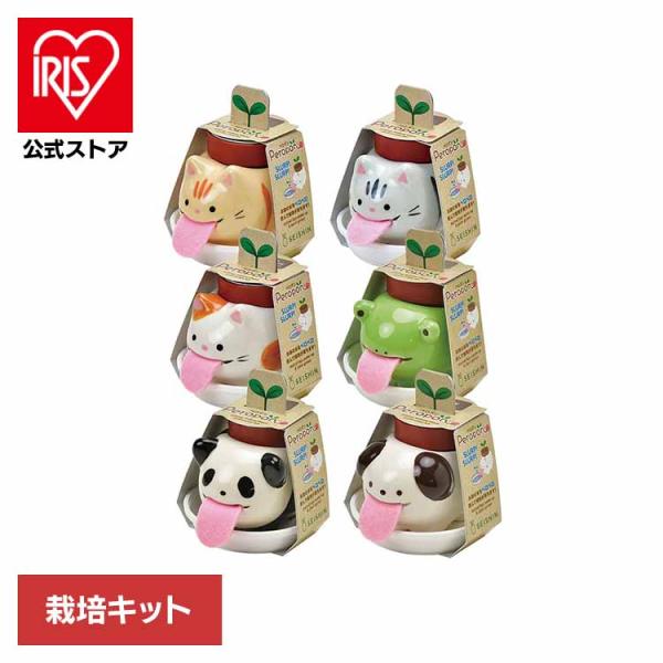 （検索用：栽培キット・栽培セット・クローバー・バジル・ミント・ワイルドストロベリー・animals・cats・陶器・聖新陶芸・インテリア・SEISHIN・4528757039631・4528757039624・4528757039617・4...