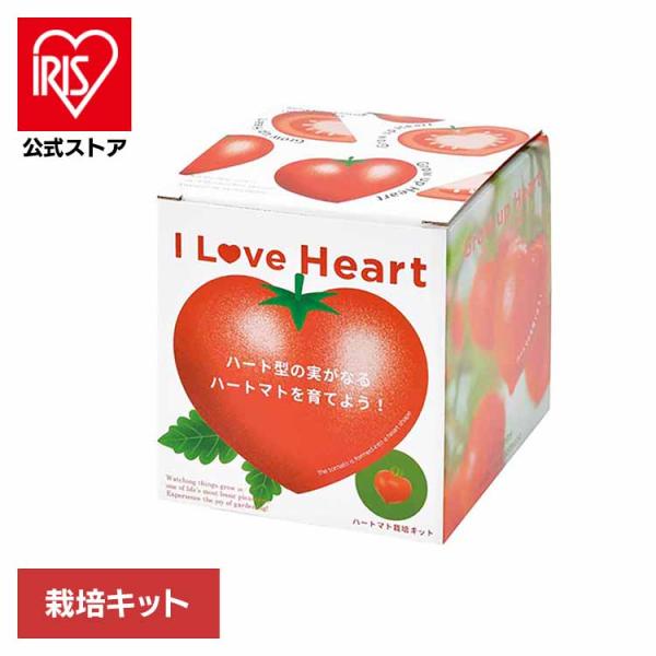 （検索用：栽培キット・栽培セット・ミニトマト・聖新陶芸・野菜・ハートの実・お料理・インテリア・SEISHIN・4528757042211）[翌日優良配送対象商品に関しまして]下記の場合は対象外となります。・13時以降(休業日は12時以降)の...