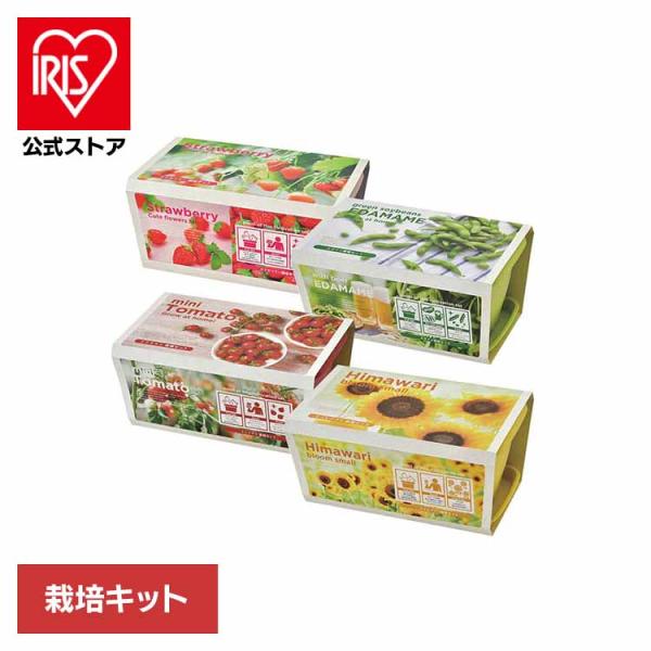 （検索用：栽培キット・栽培セット・カラープランター・聖新陶芸・SEISHIN・ミニ菜園・育てる・野菜・花・4528757039204・4528757039198・4528757039181・4528757042235）[翌日優良配送対象商品...