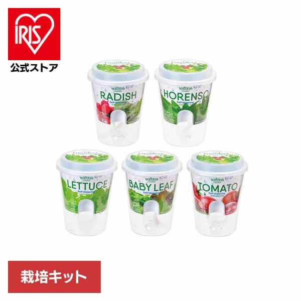 （検索用：栽培キット・栽培セット・水耕栽培・聖新陶芸・SEISHIN・サラダ・ミニ菜園・透明ポット・4528757036586・4528757036562・4528757036555・4528757036548・4528757036531）...