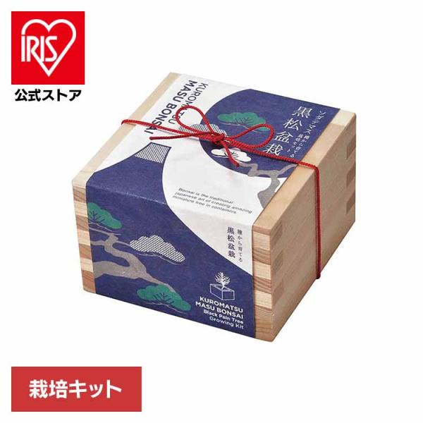 （検索用：栽培キット・栽培セット・黒松・聖新陶芸・BONSAI・ヒノキ升・SEISHIN・ギフト・お土産・4528757037101）[翌日優良配送対象商品に関しまして]下記の場合は対象外となります。・13時以降(休業日は12時以降)のご注...