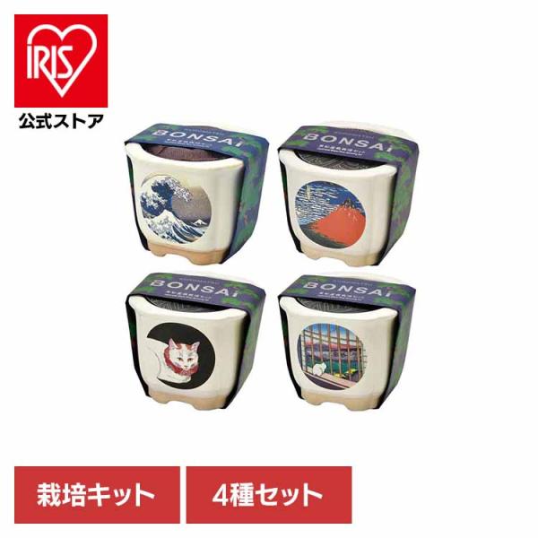 （検索用：栽培キット・栽培セット・盆栽・聖新陶芸・まつ・富士山・ねこ・和陶鉢・お土産・SEISHIN・）[翌日優良配送対象商品に関しまして]下記の場合は対象外となります。・13時以降(休業日は12時以降)のご注文の場合・お届け先が対象地域外...