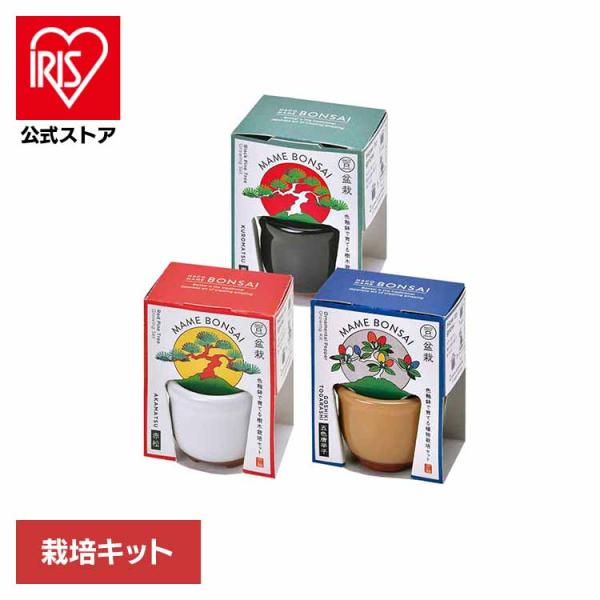 （検索用：栽培キット・栽培セット・BONSAI・聖新陶芸・豆盆栽・SEISHIN・陶器・贈り物・種から育てる・4528757041566・4528757040071・4528757040064）[翌日優良配送対象商品に関しまして]下記の場合...