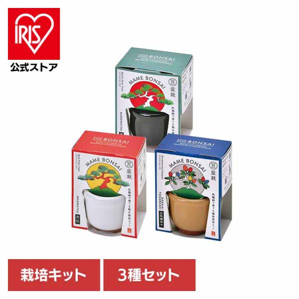 （検索用：栽培キット・栽培セット・黒松・赤松・五色とうがらし・聖新陶芸・BONSAI・SEISHIN・陶器・ギフト・）[翌日優良配送対象商品に関しまして]下記の場合は対象外となります。・13時以降(休業日は12時以降)のご注文の場合・お届け...