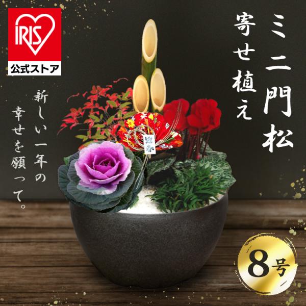 サボテン①    ステンドグラスの多肉ポット　お正月飾り サボテン① ステンドグラスの多肉ポット お正月飾り サボテン①