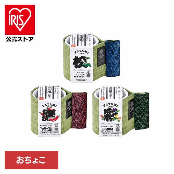 （検索用：栽培キット・栽培セット・黒松・鷹の爪・五色とうがらし・聖新陶芸・4528757042648・4528757042631・4528757042624）[翌日優良配送対象商品に関しまして]下記の場合は対象外となります。・13時以降(休...