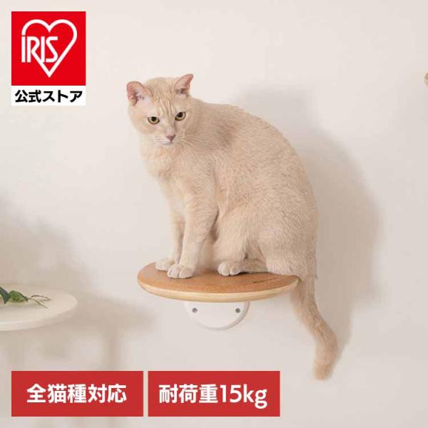 キャットウォーク キャットステップ 猫用品 ペット用品 猫家具 壁掛け シニア猫 ペット共生 猫部屋 短足猫 CORK‐R MYZOO MZ0027