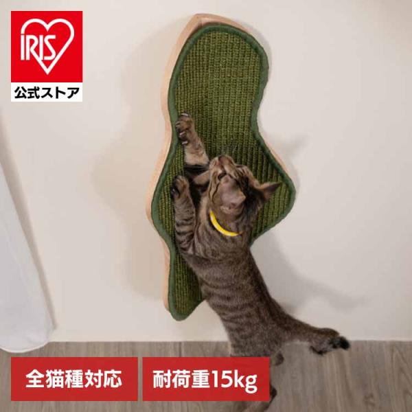キャットウォーク キャットステップ 爪研ぎ 猫用品 ペット用品 猫家具 壁掛け ペット共生 猫部屋 爪とぎ SEAWEED MYZOO MZ0041