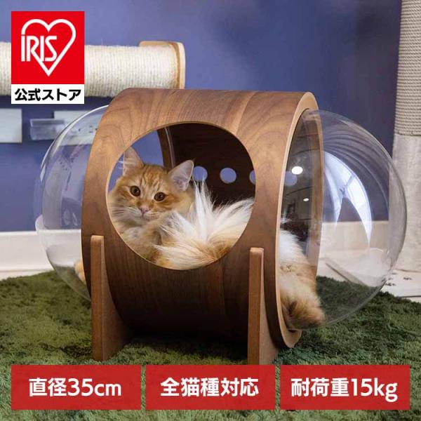 キャットハウス 猫 ベッド ハウス 猫用品 ペット用品 猫家具 猫ベッド 床置き ペット共生 猫部屋 宇宙船 ALPHA (ウォールナット) MYZOO MZ0079