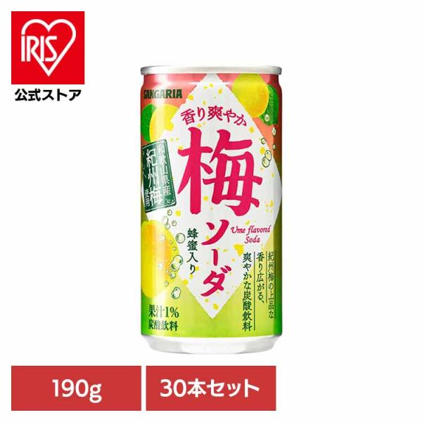 他サイト： 梅 ソーダ 爽やか サンガリア 飲料 ソフトドリンク 缶 ジュース (30本)香り爽やか梅ソーダ 190gの商品画像