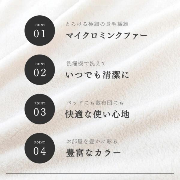 irisplaza_9541876f_3_d_20241106143207