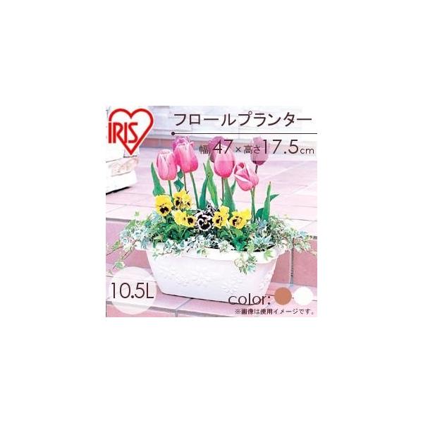 Aؔ v^[ vX`bN ` 40cm ACXI[}