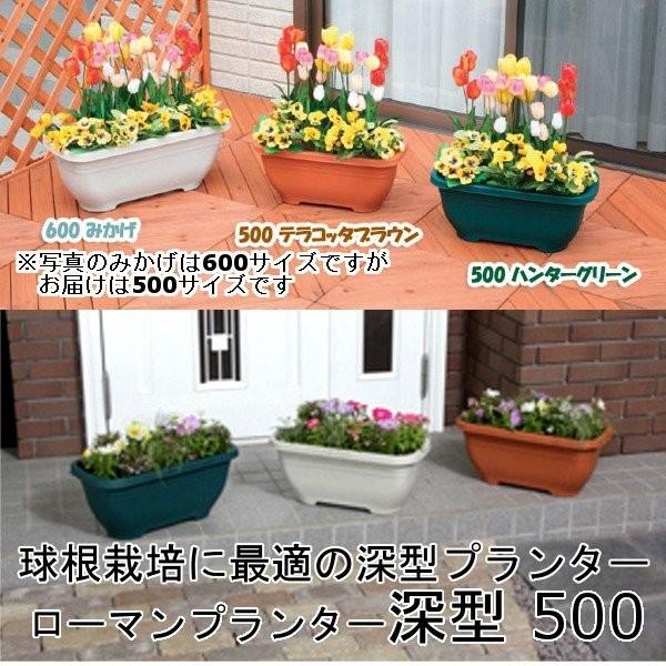 数量限定 アウトレット 訳あり わけあり 植木鉢 プランター 深型 幅50cm アイリスオーヤマ アイリスプラザ Paypayモール店 通販 Paypayモール