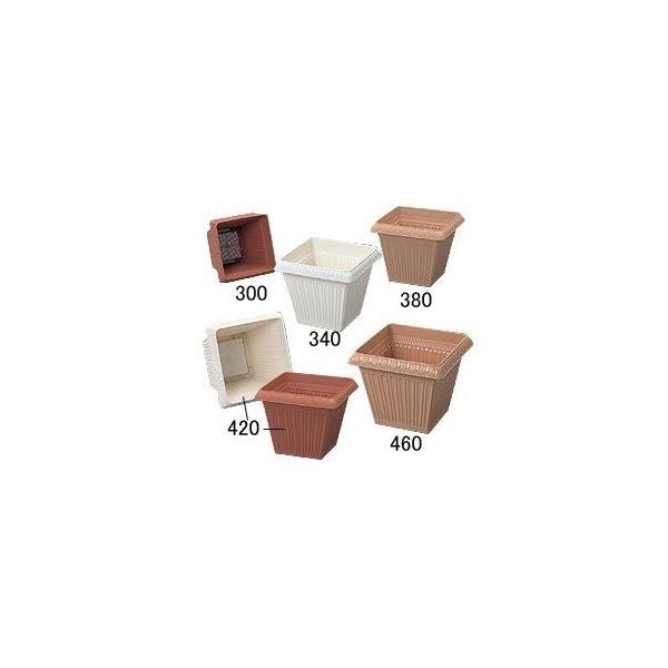 Aؔ v^[ p^ vX`bN 34cm ACXI[}