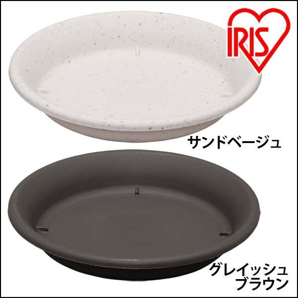 Aؔ 6 󂯎M M K[fjO | ƒ؉ v^[  A t[|bg x_   ACXI[}