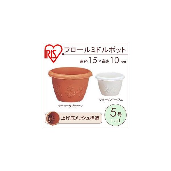 Aؔ 5 v^[    vX`bN | ƒ؉ K[fjO ACXI[}