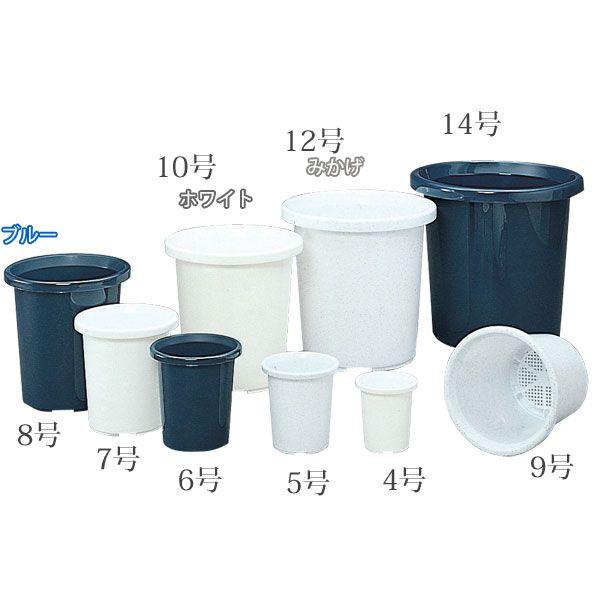 Aؔ 6 v^[ vX`bN ACXI[} K[fjO | ƒ؉ v^[  A t[|bg x_  