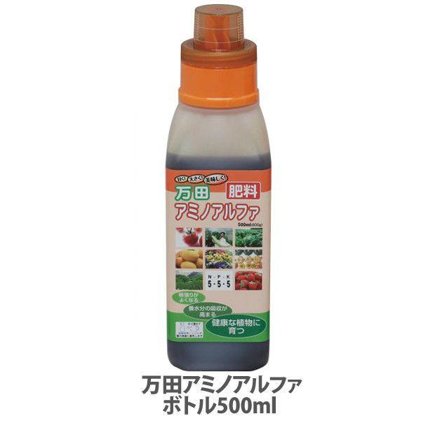 cyf cA~mAt@ 500ml 엿  t t̔엿 A ͍ |   _ { ʎ ƒ؉ K[fjO h{ _ ܂Ƃߔ