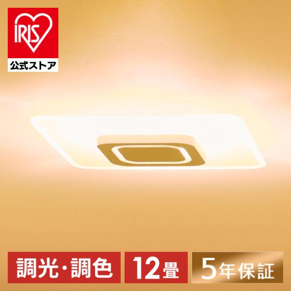 IRIS OHYAMA シーリングライト12畳 bestexcel_100464
