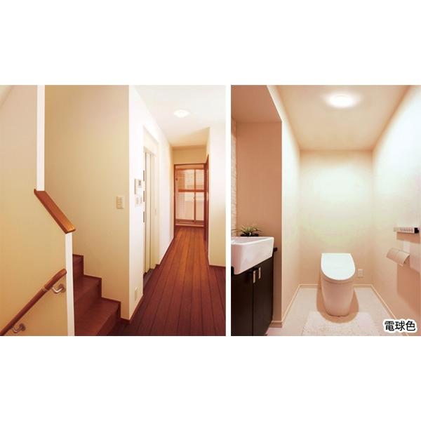 シーリングライト Led Led 小型 人感センサー アイリスオーヤマ 照明 おしゃれ 40w相当 500lm 550lm トイレ 廊下 物置 電気 昼白色 電球色 昼光色 Buyee 日本代购平台 产品购物网站大全 Buyee一站式代购 Bot Online