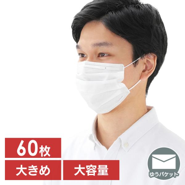 |マスク 不織布 大きめ 大人用 おしゃれ お買い得 プリーツマスク ゆったり大きめサイズ 60枚入…
