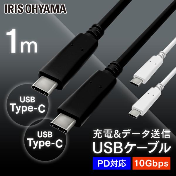 USB-C to USB-CP[u 1m(GEN2) ICCC-B10 S2F ACXI[} y[ցz SۏؑΏ