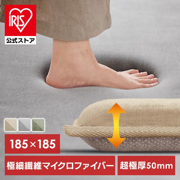 IRIS OHYAMA（アイリスオーヤマ） ラグ カーペット 厚手 2畳 北欧