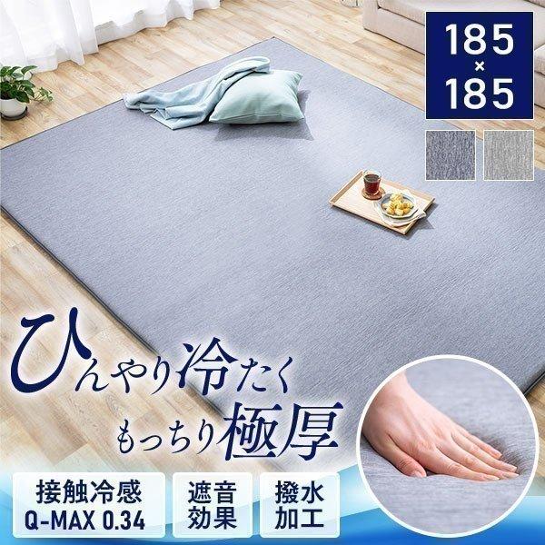 bic EOS ラグ 200x400cm IRIS OHYAMA ラグ 厚手 北欧 ラグマット 夏 おしゃれ 夏用 節電