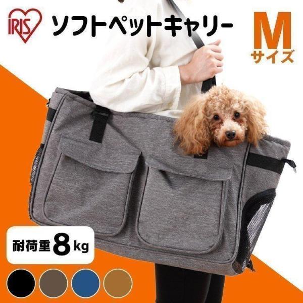 _W[L[܂t^  L L[obO  P[W ybgL[ ACXI[} MTCY \tgybgL[ ybgL[obO PSC-490