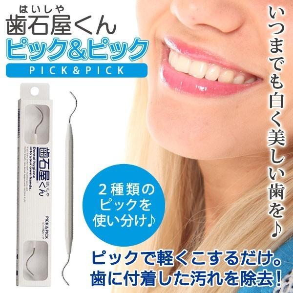 デンタルツール 歯石取り 歯石屋くん ピック ピック 歯石 取り 除去 ヤニ取り 口臭予防 歯肉炎予防 デンタルケア メール便送料無料 アイリストップマート 通販 Yahoo ショッピング