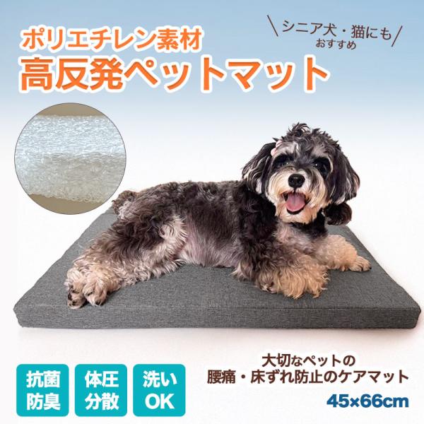 犬用クッション 中型犬まで可 洗える 通気性抜群】ペットクッション 中型犬 小型犬 猫 用 ベッド