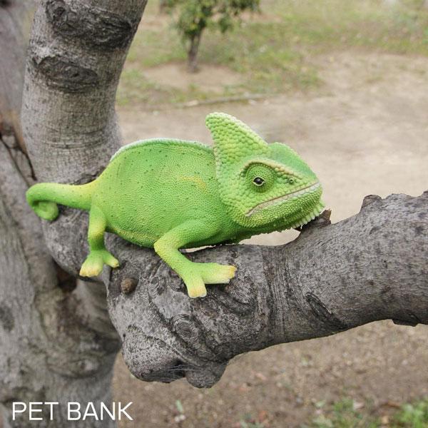 magnet PET BANK ペットバンク カメレオン リアルな動物の貯金箱 magnet PET BANK ペットバンク カメレオン リアルな動物の貯金箱
