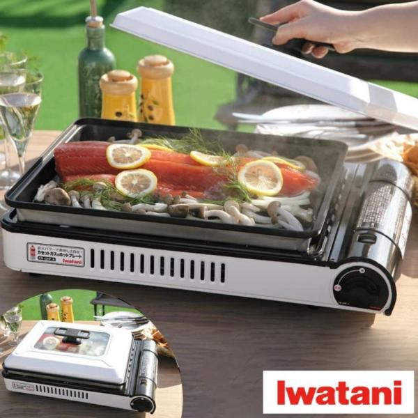 Iwatani（イワタニ） 岩谷 カセットコンロ カセットガス ホット
