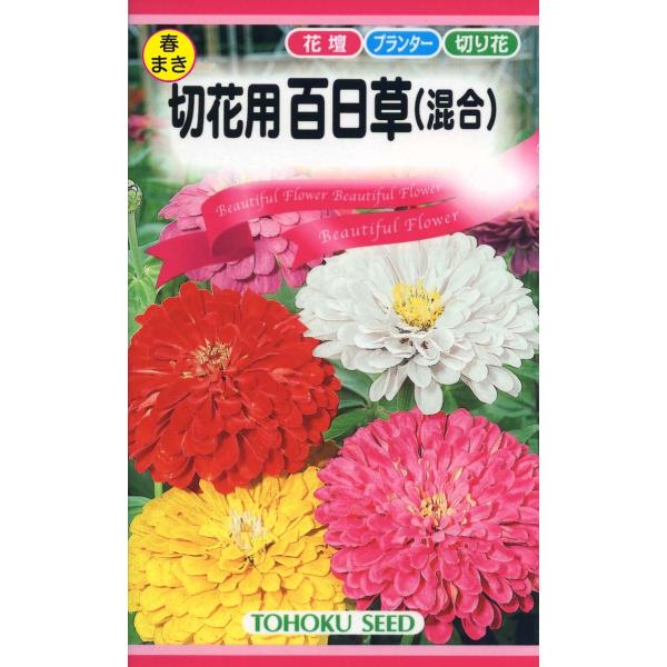 切花用 百日草 ジニア 混合種 種子 花のたね 切り花向け 家庭園芸 :zinnia01:ガーデンストアはなえん - 通販 - Yahoo!ショッピング 切花用 百日草 ジニア 混合種 種子 花のたね 切り花向け 家庭園芸 :zinnia01:ガーデンストアはなえん - 通販 - Yahoo!ショッピング