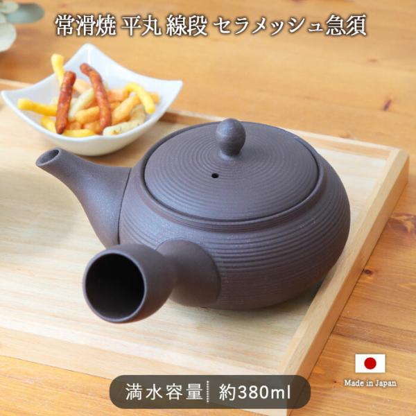 常滑焼 平丸 線段 セラメッシュ 急須 黒 茶こし 一体型 380ml 日本製